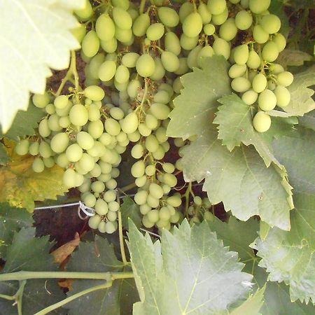 מלון Pinos Puente Alojamiento Rural Torre Hueca מראה חיצוני תמונה