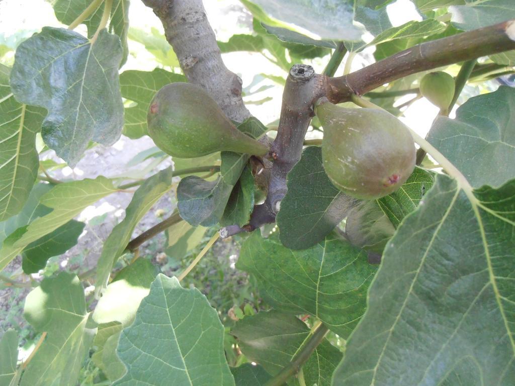 מלון Pinos Puente Alojamiento Rural Torre Hueca חדר תמונה