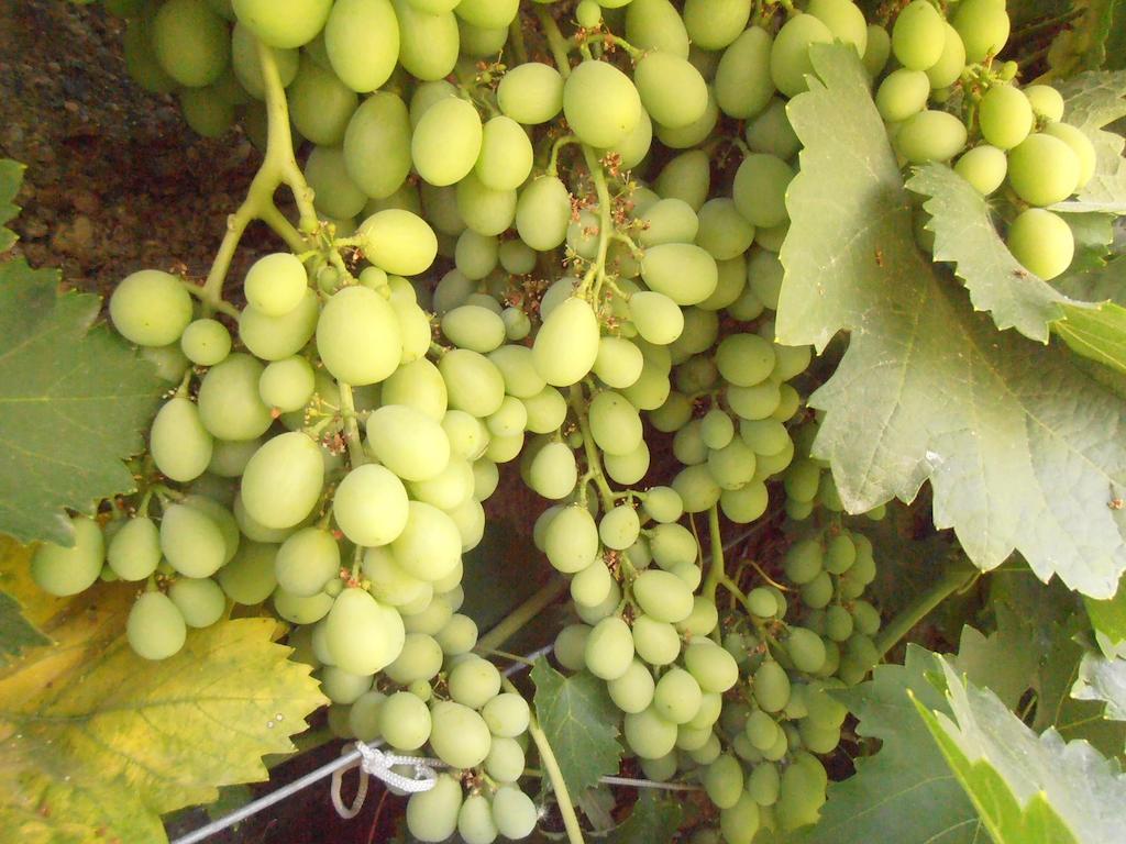 מלון Pinos Puente Alojamiento Rural Torre Hueca חדר תמונה